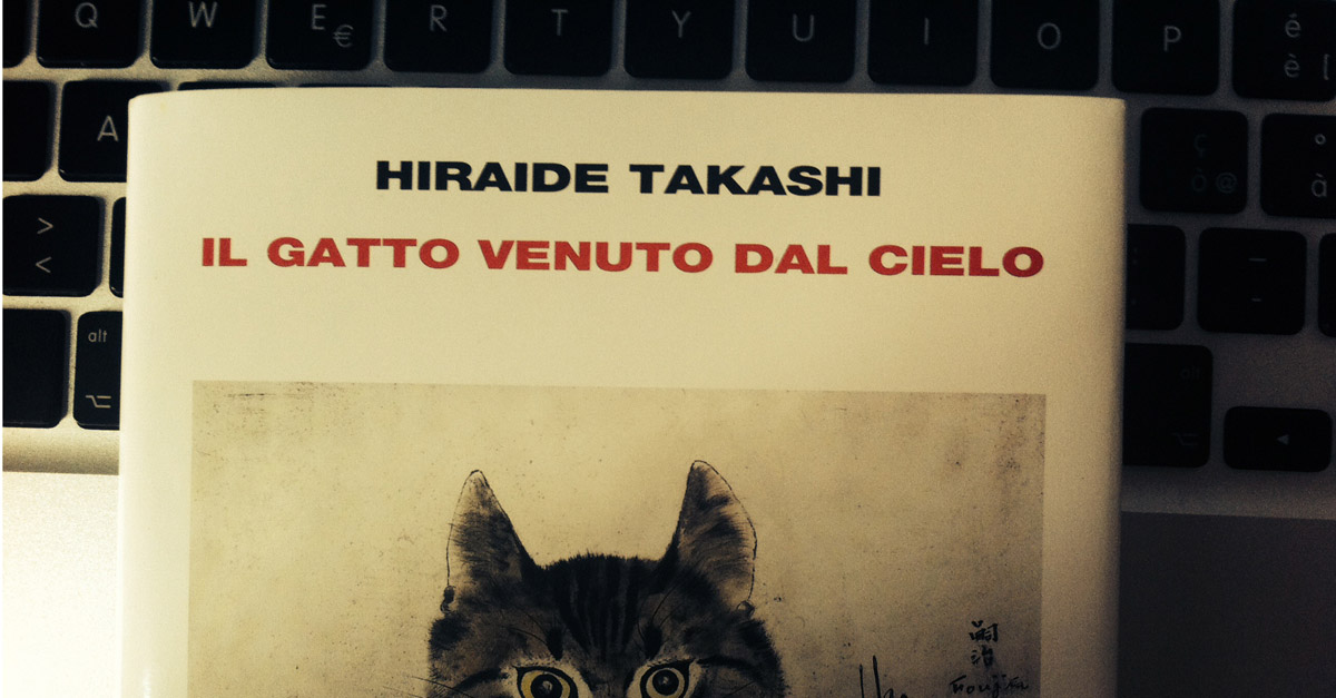 il gatto venuto dal cielo - takashi